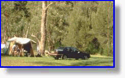 Camping beside Grove Creek
